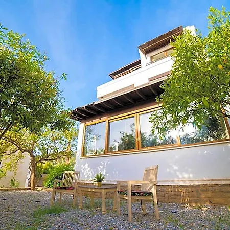 Dolphin Villa *